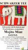 Mojito Mint natürlich